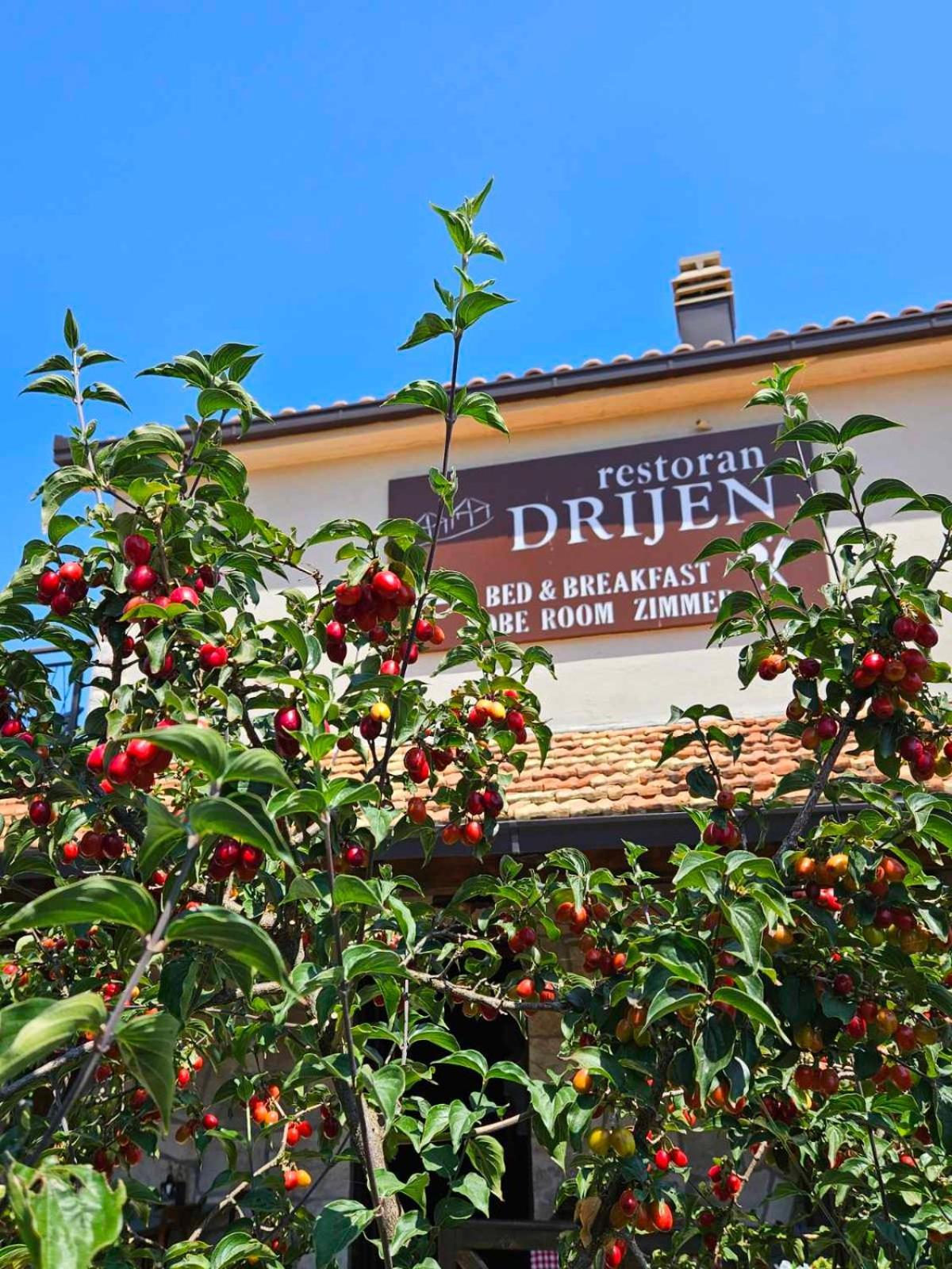 Apartmani Drijen Ravno Exterior foto